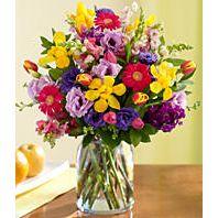 featured-image-2603745