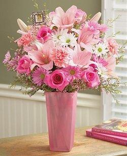 featured-image-2819389