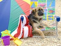 featured-image-2819623