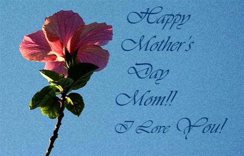 featured-image-2821682