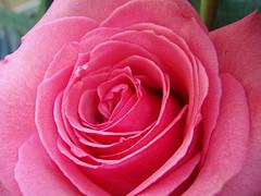 featured-image-2823255
