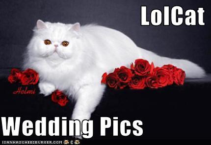 featured-image-2959201