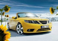 featured-image-3174540
