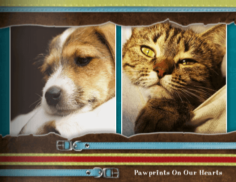 featured-image-3198516