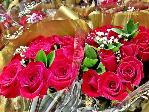 featured-image-3560411