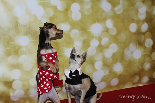 featured-image-3570630