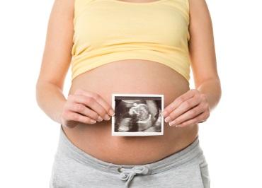 featured-image-3624662