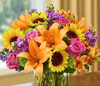 featured-image-3641235
