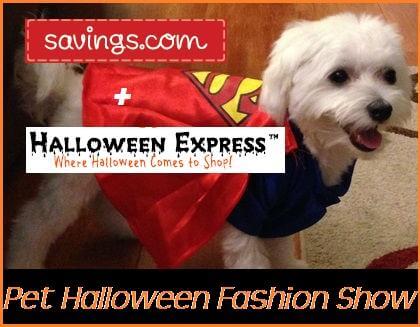 featured-image-3808072