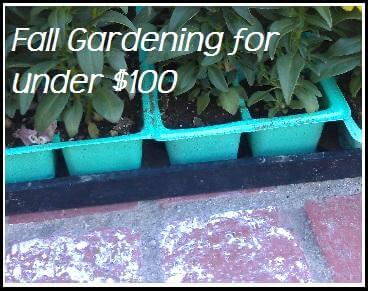 featured-image-3816564