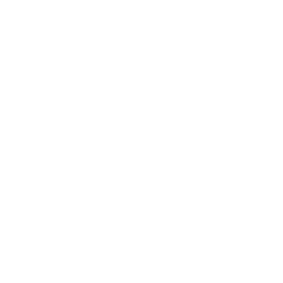 Big Bus Tours logo